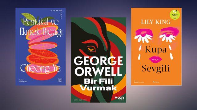 Farklı Kategorilerden Kitap Tavsiyeleri haber gorsel 20260803060027