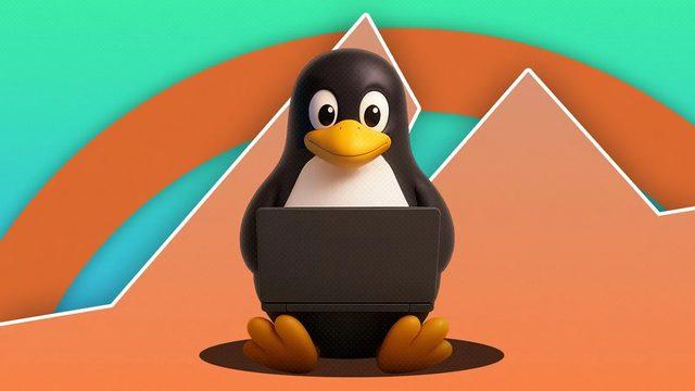 Linux Pazar Payı Bir Anda %10 Seviyelerine Yükseldi: Peki Nasıl ve Neden? haber gorsel 20260806070018