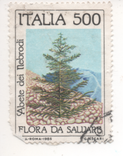 466133924