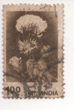 1009947981