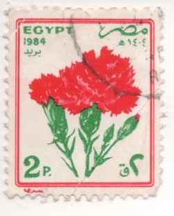 3642639202