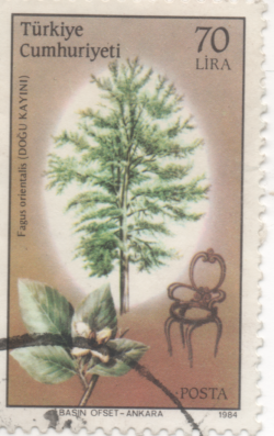 1719245340