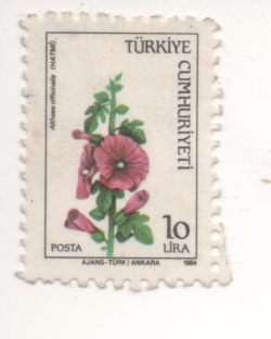 1916970781